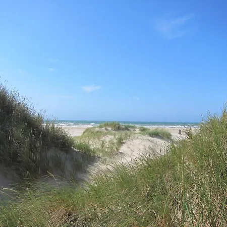 47 5 M Seestern * Schillig