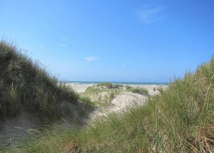 47 5 M Seestern * Schillig