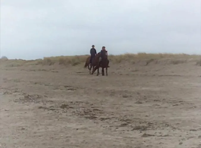 Apartman 47 5 M Seestern