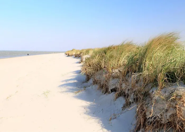 47 5 M Seestern Apartman Schillig