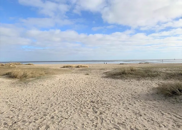 47 5 M Seestern Apartman Schillig